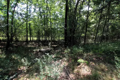 000 Us Smith Rd, Royal, AR 71968 photo 20