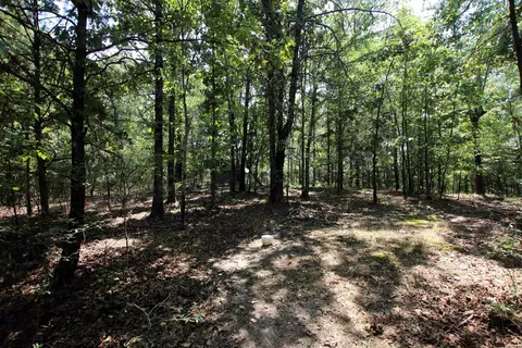 000 Us Smith Rd, Royal, AR 71968 photo 8