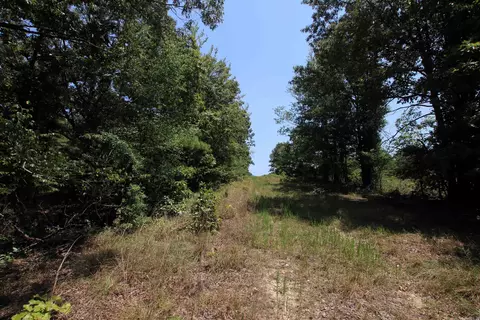 000 Us Smith Rd, Royal, AR 71968 photo 16