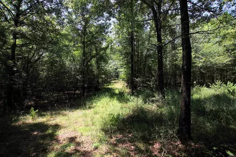 000 Us Smith Rd, Royal, AR 71968 photo 22