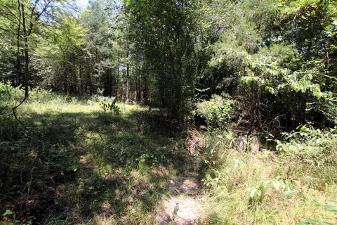 000 Us Smith Rd, Royal, AR 71968 photo 19