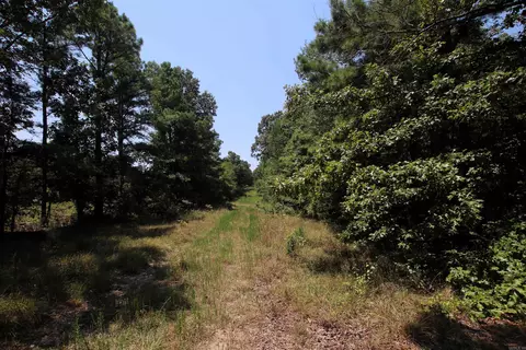 000 Us Smith Rd, Royal, AR 71968 photo 17