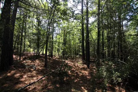 000 Us Smith Rd, Royal, AR 71968 photo 5