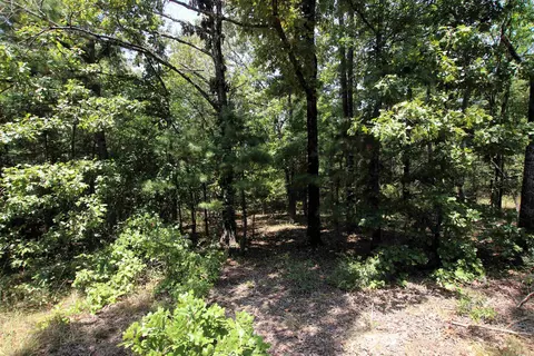 000 Us Smith Rd, Royal, AR 71968 photo 15