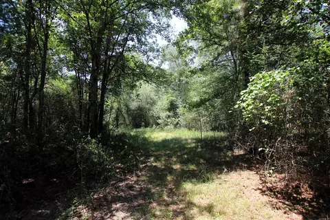 000 Us Smith Rd, Royal, AR 71968 photo 6