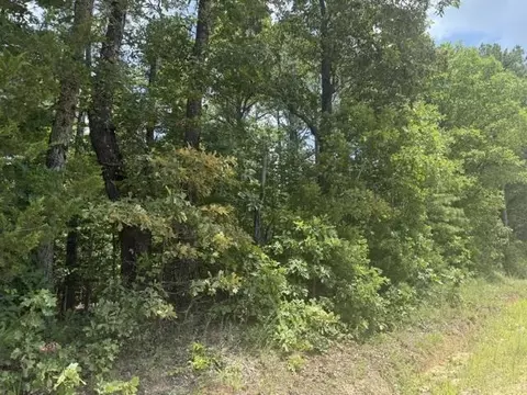 20 Deerchase Road, Viola, AR 72583 photo 2