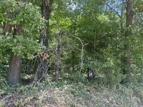 20 Deerchase Road, Viola, AR 72583 photo 3