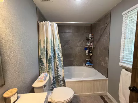 Bath - 1205 S Dodd St, Rector, AR 72461 photo 3 of 3