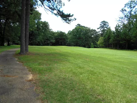 Other - 117 Old Millwood Rd, Ashdown, AR 71822 photo 3 of 9