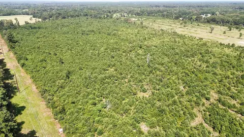 118 Lr 27, Ashdown, AR 71822 photo 10