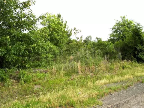 118 Lr 27, Ashdown, AR 71822 photo 32