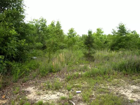 118 Lr 27, Ashdown, AR 71822 photo 28