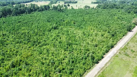 118 Lr 27, Ashdown, AR 71822 photo 6