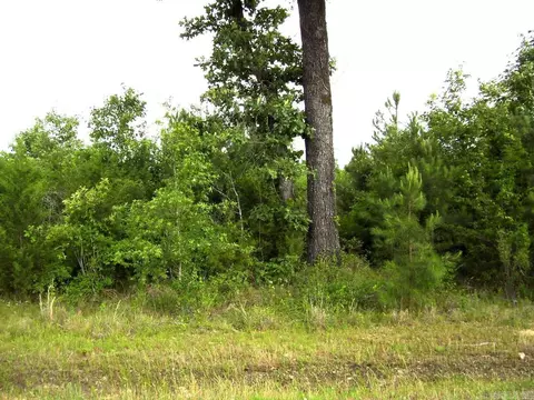 118 Lr 27, Ashdown, AR 71822 photo 27