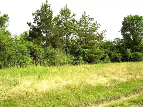 118 Lr 27, Ashdown, AR 71822 photo 26