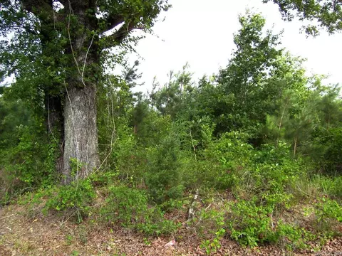 118 Lr 27, Ashdown, AR 71822 photo 30