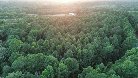 120 Little River 180, Ashdown, AR 71822 photo 13