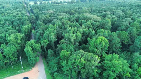 120 Little River 180, Ashdown, AR 71822 photo 7