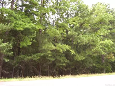 120 Little River 180, Ashdown, AR 71822 photo 25
