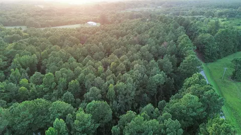 120 Little River 180, Ashdown, AR 71822 photo 16