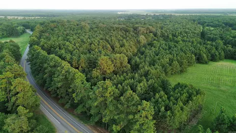 120 Little River 180, Ashdown, AR 71822 photo 6