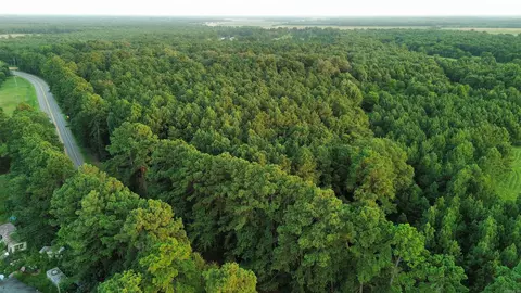 120 Little River 180, Ashdown, AR 71822 photo 17