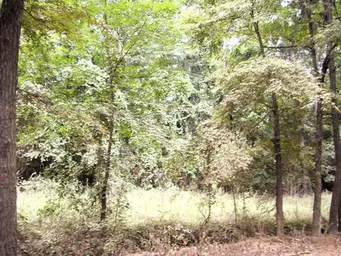 120 Little River 180, Ashdown, AR 71822 photo 18