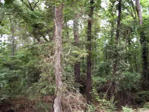 120 Little River 180, Ashdown, AR 71822 photo 26