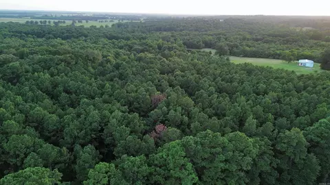 120 Little River 180, Ashdown, AR 71822 photo 9