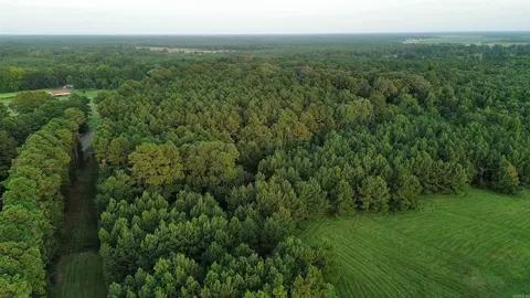 120 Little River 180, Ashdown, AR 71822 photo 3