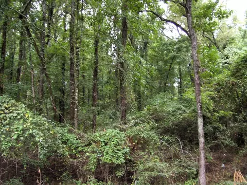 120 Little River 180, Ashdown, AR 71822 photo 19