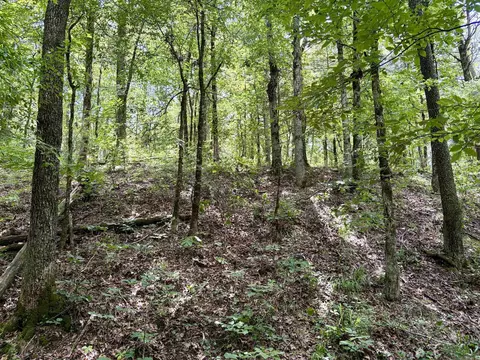 000 Bee Branch Rd, Quitman, AR 72131 photo 23