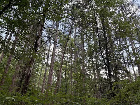 000 Bee Branch Rd, Quitman, AR 72131 photo 11