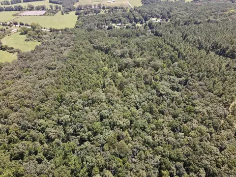 000 Bee Branch Rd, Quitman, AR 72131 photo 46