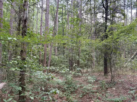 000 Bee Branch Rd, Quitman, AR 72131 photo 12