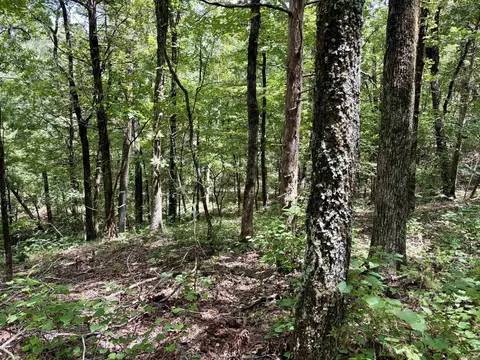 000 Bee Branch Rd, Quitman, AR 72131 photo 27