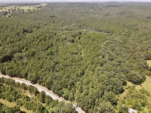 000 Bee Branch Rd, Quitman, AR 72131 photo 4