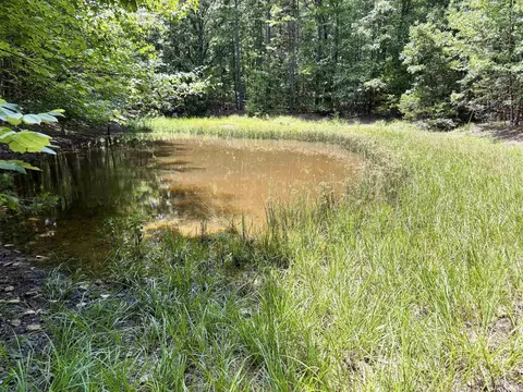 000 Bee Branch Rd, Quitman, AR 72131 photo 17