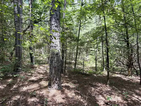 000 Bee Branch Rd, Quitman, AR 72131 photo 42