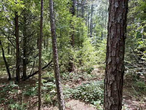 000 Bee Branch Rd, Quitman, AR 72131 photo 39