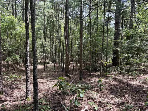 000 Bee Branch Rd, Quitman, AR 72131 photo 37