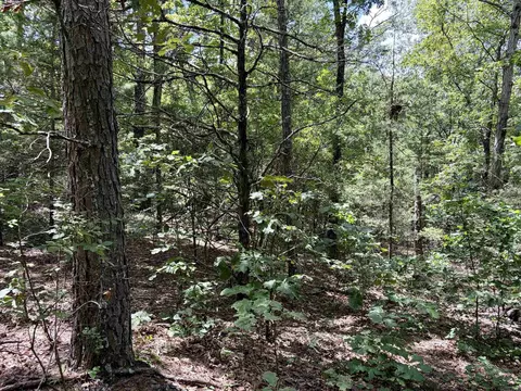000 Bee Branch Rd, Quitman, AR 72131 photo 30