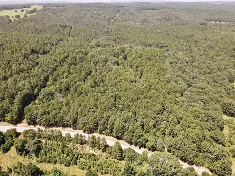 000 Bee Branch Rd, Quitman, AR 72131 photo 5