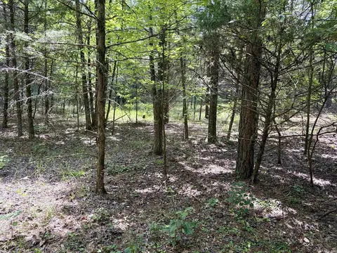 000 Bee Branch Rd, Quitman, AR 72131 photo 44