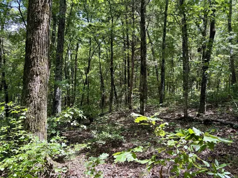 000 Bee Branch Rd, Quitman, AR 72131 photo 25