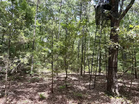 000 Bee Branch Rd, Quitman, AR 72131 photo 22