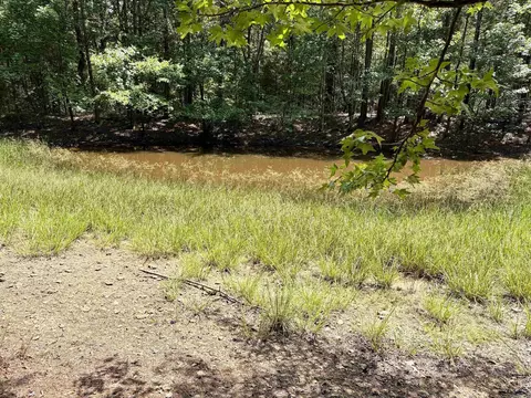 000 Bee Branch Rd, Quitman, AR 72131 photo 19