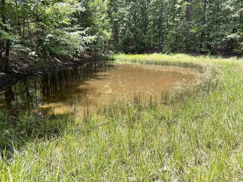 000 Bee Branch Rd, Quitman, AR 72131 photo 18