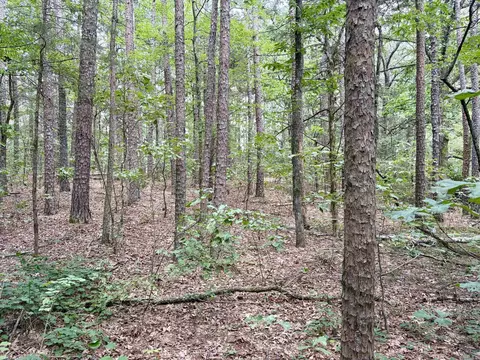 000 Bee Branch Rd, Quitman, AR 72131 photo 45