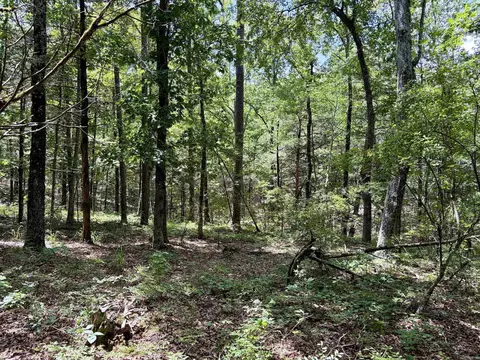 000 Bee Branch Rd, Quitman, AR 72131 photo 28
